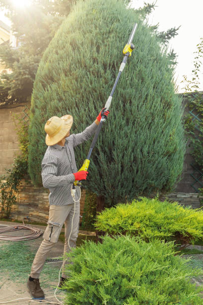 Best Tree Risk Assessment  in Spring Valley, NY